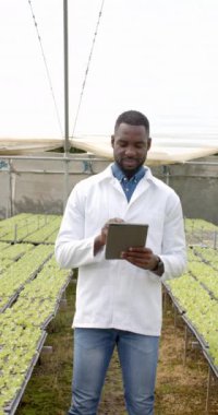 Dikey video: Beyaz önlüklü bilim adamı hidroponik çiftlik serasında araştırma yapmak için tablet kullanıyor. Tarım, tarım, teknoloji, yenilik, organik, sürdürülebilirlik