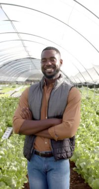 Dikey video: Gülümseyen çiftçi hidrofonik çiftliğinde duruyor, kolları çapraz, marullarla çevrili. Tarım, tarım, organik, üretim, hidroponik, sera