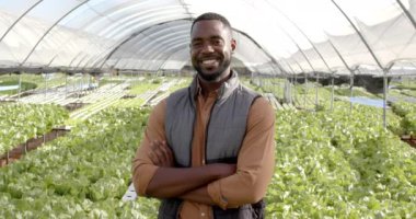 Kolları kavuşturulmuş, güvenle ayakta duran, hidrofonik çiftlikte gülümseyen çiftçi. Tarım, tarım sektörü, sera, organik, üretim, hidroponik