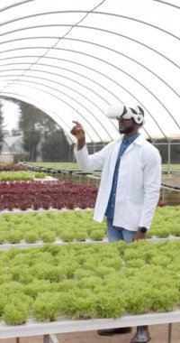 Dikey video: VR kulaklık kullanan bir adam seradaki hidrofonik sebze bahçesini inceliyor. Tarım, tarım, organik, teknoloji, yenilik, sürdürülebilirlik