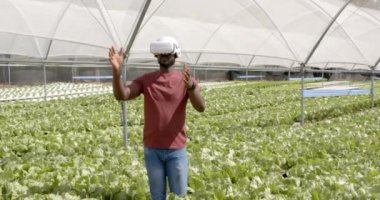 Afro-Amerikan adam yeşil yapraklı sebzelerle hidrofonik çiftliği keşfediyor. Tarım, teknoloji, yenilik, denetleme, organik, sürdürülebilirlik