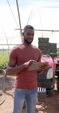 Dikey video: Seradaki hidrofonik sebze bahçesinin yönetimi, elinde tablet olan çiftçi. Tarım, tarım, hidrofonik, organik, üretim, teknoloji