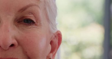 Son sınıf öğrencisi kadının sıcak bir gülümsemesi, evinde huzurlu bir anın tadını çıkarması, fotokopi çekmesi. Yaşlılar, memnuniyet, rahatlama, mutluluk, sükunet