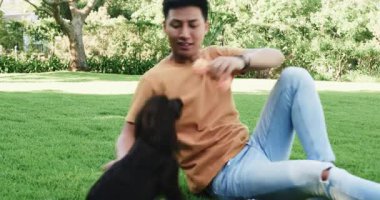 Asyalı adam parkta köpekle oynuyor, oyuncaklarla güneşli günün tadını çıkarıyor. Açık hava, evcil hayvan, oyuncu, arkadaşlık, mutluluk, aktivite