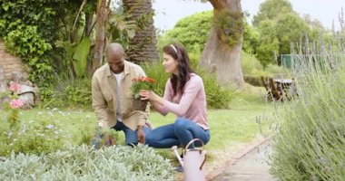 Çok ırklı çiftler arka bahçede birlikte bahçeyle uğraşıyorlar, doğanın tadını çıkarıyor ve çiçek dikiyorlar. Açık hava, bahar, takım çalışması, hobi
