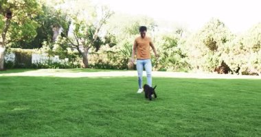 Asyalı bir adam Sunny Park 'ta çimlerde köpekle oynuyor. Açık havada eğleniyor, fotokopi çekiyor. evcil hayvan, oyuncu, boş zaman, arkadaşlık, bağlantı, özgürlük