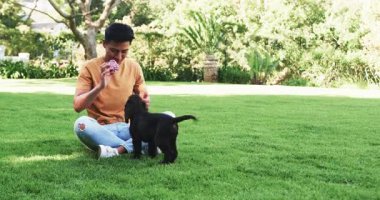 Asyalı bir adam çimlerin üzerinde oturuyor, parkta köpekle oynarken gülümsüyor, kopyalama alanı. Açık hava, boş zaman, arkadaşlık, mutluluk, evcil hayvan, arkadaşlık.