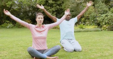 Barışçıl bahçede yoga yapan çeşitli çok ırklı çiftler birlikte farkındalığa odaklanıyorlar. Meditasyon, sağlık, rahatlama, sükunet, egzersiz