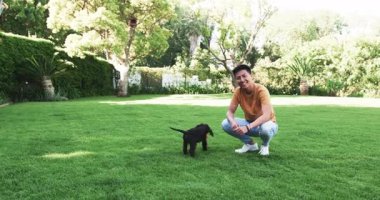 Sunny Park 'ta köpekle oynayan Asyalı bir adam açık hava eğlencesini, fotokopi çekmeyi seviyor. Evcil hayvanlar, arkadaşlık, egzersiz, eğlence, arkadaşlık, mutluluk.