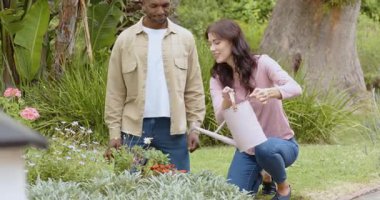 Çeşitli çok ırklı çiftler birlikte bahçe işlerinden zevk alıyorlar, yemyeşil arka bahçelerde bitki suluyorlar. Bahçıvanlık, ilişki, takım çalışması, boş zaman, doğa, açık hava