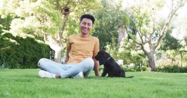 Asyalı bir adam güneşli parkta köpekle eğleniyor. Açık hava, eğlence, arkadaşlık, arkadaşlık, evcil hayvanlar, doğa.