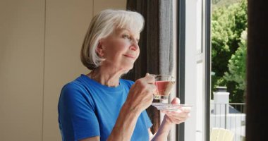 Dışarıya bakıyor, son sınıf öğrencisi evde pencereden çayını yudumluyor. Rahatlama, tefekkür, yaşlılık, rahatlık, sükunet, yaşam tarzı