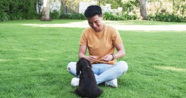 Asyalı bir adam çimenlerin üzerinde köpekle oynuyor, güneşli havanın tadını çıkarıyor, parkta, fotokopi odasında. Evcil hayvan, bağ, arkadaşlık, eğlence, park, mutluluk.