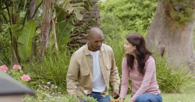 Çeşitli çok ırklı çiftler birlikte bahçeyle uğraşıyorlar, yemyeşil bahçeye çiçek dikiyorlar. Takım çalışması, bahçıvanlık, ortaklık, açık hava, doğa, peyzaj