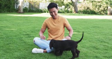 Asyalı bir adam güneşli parkta çimenlerde köpek yavrusuyla oynuyor, dışarıda eğleniyor. Evcil hayvanlar, köpek, arkadaşlık, eğlence, mutluluk, eğlence.