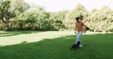 Sunny Park 'ta köpekle yakalamaç oynayan Asyalı adam dışarıda eğleniyor. Evcil hayvan, oyuncu, boş zaman, aktivite, doğa, güneş ışığı