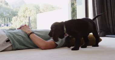 Asyalı adam evde köpekle oynarken gülüyor. Evcil hayvan, mutluluk, arkadaşlık, şakacı, dostluk, evcil