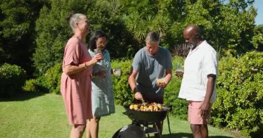 Bahçe barbeküsünde eğlenen çeşitli yaşlılar, sebzeleri kızartıyorlar ve içkilerle kadeh kaldırıyorlar. Kutlama, dostluk, eğlence, yaşam tarzı, bahçede, eğlence