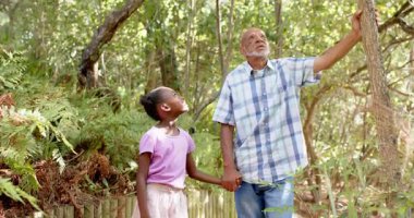 Büyükbaba ve torun doğayı keşfediyor, el ele tutuşuyor ve ağaçları işaret ediyor, mekanı kopyalıyor. Aile, bağ, bahçe, nesiller, orman, keşif.