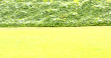 Afrikalı Amerikalı, babası kızına parkta bisiklet sürmeyi öğretiyor, dışarıda bağ kuruyor ve ona destek oluyor. Aile, ebeveynlik, akıl hocalığı, bisiklet, çocukluk, doğa