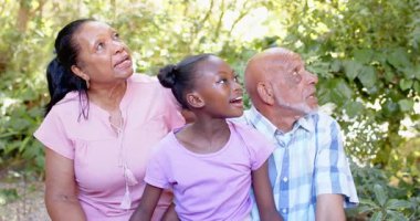 Ağaçları işaret etmek, doğa yürüyüşü sırasında gülümseyen farklı büyükbabalar ve çocuklar. Aile, bahçede, yürüyüş, yürüyüş, çevre, gezinti
