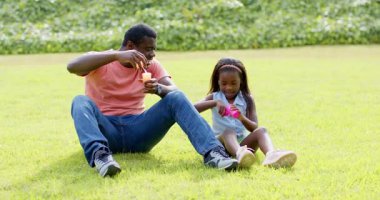 Afrika kökenli Amerikalı, baba ve kızı güneşli bir günde parkta baloncuk üflüyorlar. Aile, bağ, açık hava, neşeli, mutluluk, doğa