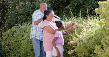 Bahçeyi keşfetmek, farklı büyükbabalar ve çocukların bahçede birbirine bağlanması, kopyalama alanı. Aile, bahçıvanlık, çok nesilli, boş zaman, birliktelik, yaşam tarzı