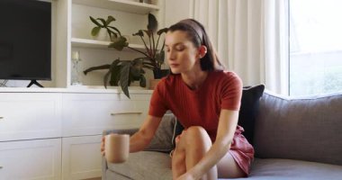 Kanepede oturup kitap okuyan bir kadın, huzurlu bir öğleden sonranın tadını çıkarıyor. Rahatlama, rahatlama, yaşam tarzı, sükunet, konfor, edebiyat