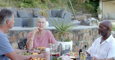 Bahçe ortamında kıdemli çeşitli arkadaşlar öğle yemeğinin tadını çıkarıyor, kahkahalar ve içkileri paylaşıyorlar. Yaşlılar, dostluk, toplanma, kutlama, yemek, neşe