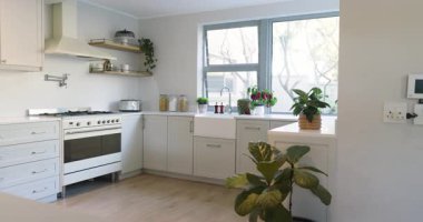 Beyaz dolapları ve tezgahı olan modern mutfak, evde bitkiler ve mısır gevreği kavanozları var. Çağdaş, minimalist, iç mekan, ev, tasarım, lüks