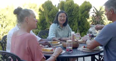 Kıdemli çeşitli arkadaşlar bahçede öğle yemeğinin tadını çıkarıyorlar. Masada hikayeler ve kahkahalar paylaşıyorlar. Toplantılar, bahçede, sosyalleşme, arkadaşlık, boş zaman, kaynaşma.