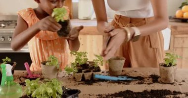 Mutfakta, anne ve kız bahçede birlikte ot ekiyor, kaynaşıyor. Çeşitli aileler, bahçe işleri, yemek pişirme, takım çalışması, işbirliği, yetiştirme