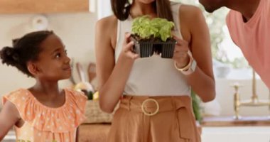 Genç bir kız mutfakta bitki ekiyor. Bahçede, çeşitli ailelerle bahçe işleri yapıyor. Ev, boş zaman.