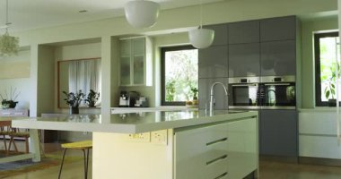 Modern mutfak ve yemek salonu, bitkiler ve doğal ışık. İç mekan, tasarım, dekor, modern, yeşillik, aydınlık