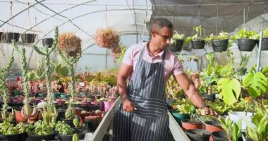 Önlüklü bahçıvan serada sulu bitkilerle ilgileniyor. Bahçıvanlık, bahçıvanlık, botanik, tarım, çiçekçilik, tarım.