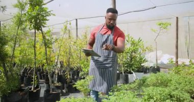 Afro-Amerikalı bir adam serada tablet kullanıyor, fabrikaları yönetiyor ve notlar alıyor. Tarım, tarım, teknoloji, bahçıvanlık, yönetim, sürdürülebilirlik