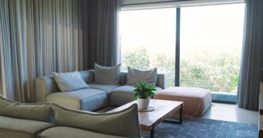 Rahat gri kanepesi ve ahşap masasının üzerinde saksı bitkisi olan modern oturma odası. İç tasarım, mobilya, dekorasyon, çağdaş ev