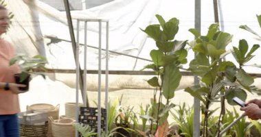 Müşteriler kreşteki bitkileri keşfediyor, seranın yakınındaki personelle seçenekleri tartışıyor. Bahçıvanlık, bahçıvanlık, alışveriş, müşteri hizmetleri, sera, botanik