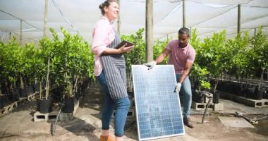 Çeşitli erkek ve kadınlar serada sürdürülebilir çiftçilik için tablet ve güneş paneli kullanıyorlardı. Sürdürülebilirlik, çevre dostu, teknoloji, yenilik, takım çalışması, tarım