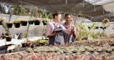 Bahçe merkezi çeşitli işçiler serada tablet kullanırken bitki bakımını tartışıyorlar. Bahçıvanlık, takım çalışması, teknoloji, bahçıvanlık, çocuk odası, işbirliği