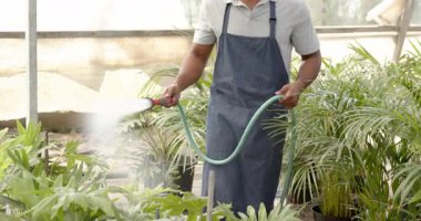 Bahçıvan seradaki bitkileri suluyor, özen ve adanmışlıkla büyümeyi besliyor. Bahçıvanlık, bahçıvanlık, tarım, doğa, sürdürülebilirlik, tarım