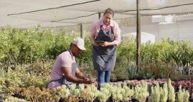 Çocuk odasındaki çeşitli bahçıvanlar bitki bakımını tartışıyor, serada, dışarıda dijital tablet kullanıyorlar. Bahçıvanlık, takım çalışması, teknoloji, sera, sürdürülebilirlik, peyzaj