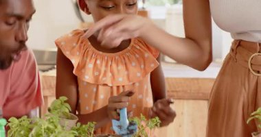 Afrika kökenli Amerikalı baba ve kızı mutfaktaki otları neşeyle keşfediyorlar. Çeşitli aileler, kaynaşma, yemek pişirme, aşçılık, evcil