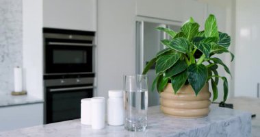 Adada bitkilerle sıkıca çekilen kamera fırınları ve buzdolabını ortaya çıkarmak için geri çekiliyor. Modern, minimalist, iç mekan, mutfak, zarafet, temiz, dekor