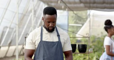 Serada bitki yetiştiren önlüklü Afro-Amerikalı bir adam, işine odaklanmış. Bahçıvanlık, bahçıvanlık, tarım, botanikçi, profesyonel tarım