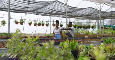 Bitkilerle ilgilenmek, Afrikalı Amerikalı adam ve müşteriler serada bahçıvanlık tekniklerini tartışıyorlar. Bahçecilik, tartışma, takım çalışması, yetiştirme, botanik, tarım