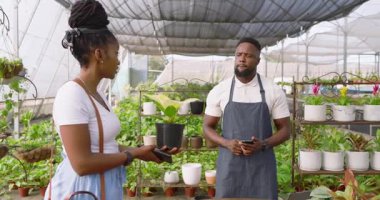 Afrika kökenli Amerikalı bir adam seradaki kadına bitki bakımını anlatıyor. Bahçıvanlık, bahçıvanlık, akıl hocalığı, eğitim, botanik, bilgi