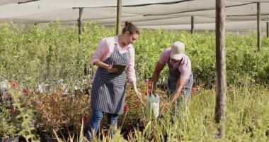 Bahçedeki çeşitli işçiler bitkilerle ilgileniyorlar ve seradaki çocuk odasında notları tartışıyorlar. Bahçıvanlık, bahçıvanlık, takım çalışması, işbirliği, yeşillik, manzara