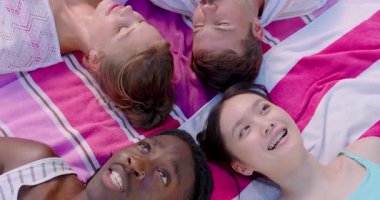 Çeşitli arkadaşlar parka gelip çizgili piknik battaniyelerini seriyorlar, sohbet ediyorlar, rahatlamak için gökyüzüne bakıyorlar. Açık hava, dostluk, rahatlama, rahatlama, hareketli, rahat, toplum