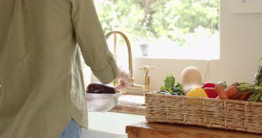 Mutfak lavabosunda taze sebze yıkayan, evde sağlıklı yemek hazırlayan bir kadın. Yemek pişirme, beslenme, yaşam tarzı, aşçılık, hazırlık, sağlık